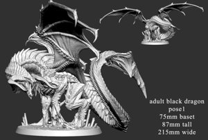 extracted_Adult Black Dragon (pose 1 of 2) Scale.jpg