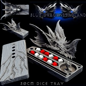 extracted_Blue Dragon Dice Tray 2_1.jpg