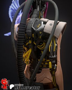 extracted_Songbird_006.jpg