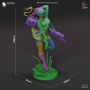 extracted_Lady_dimensions.jpg