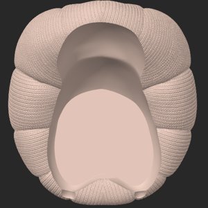 extracted_top_2.png