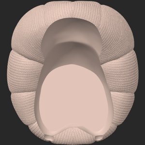 extracted_top_2_1.png