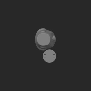 extracted_top_1.png