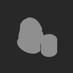 extracted_plate_no_light_1.png