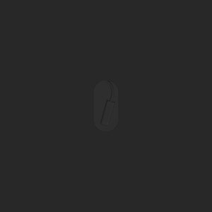 extracted_top_1.png