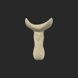 extracted_top_3.png