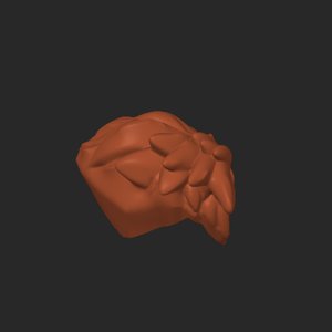 extracted_plate_4.png