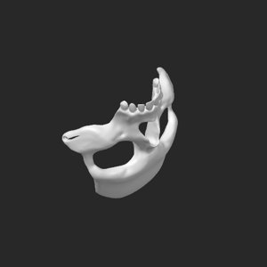 extracted_plate_1.png