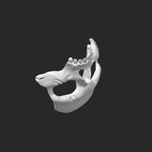 extracted_plate_3.png