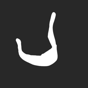 extracted_plate_no_light_2.png