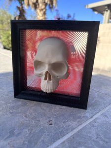 extracted_IMG_2749.jpeg