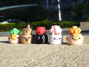 extracted_08.jpg
