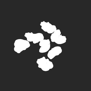 extracted_plate_no_light_1.png