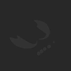 extracted_plate_no_light_2.png
