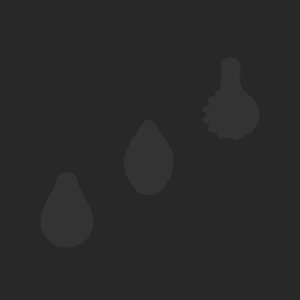 extracted_plate_no_light_2.png