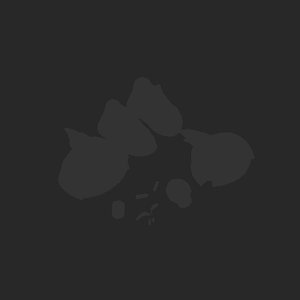 extracted_plate_no_light_1_1.png