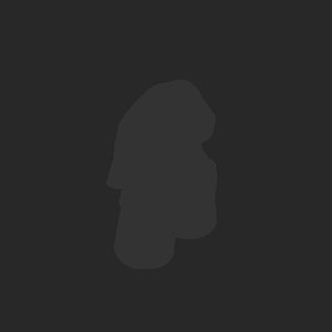 extracted_plate_no_light_2.png