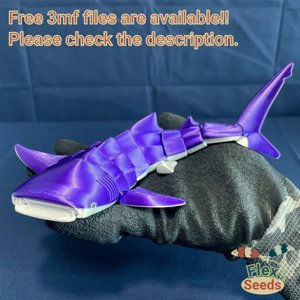 extracted_whale-shark-2-3_ef66056f-2229-48d7-9de9-3828ec7020fb.webp