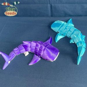 extracted_whale-shark-7-2_9c3fad21-059a-4ebc-87c8-6c641c719be7.webp
