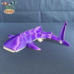 extracted_whale-shark-6-2_fc6bf61e-3fac-4e88-944c-ef257b480de1.webp