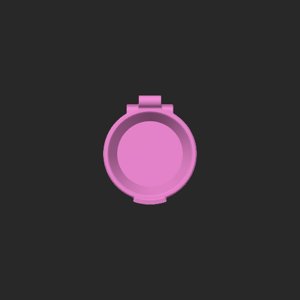 extracted_top_1.png