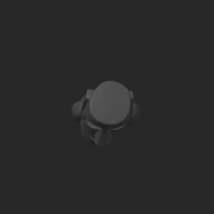 extracted_top_1.png