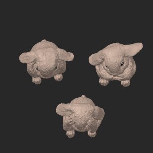 extracted_top_1.png