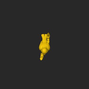 extracted_top_1_1.png