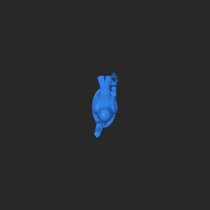extracted_top_1_2.png