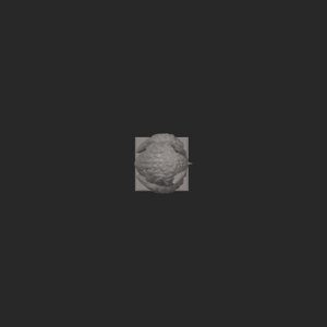 extracted_top_1.png
