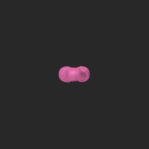 extracted_top_1.png