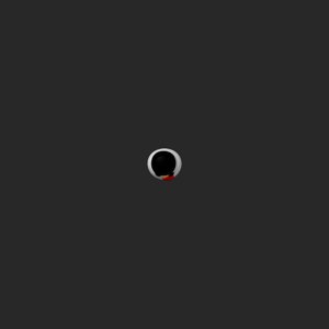 extracted_top_1.png