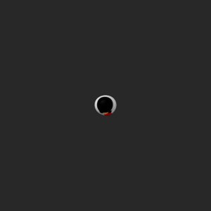 extracted_top_1_1.png
