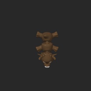 extracted_top_1.png