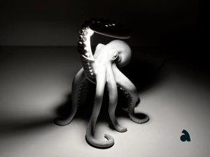 extracted_Cover copy12.webp