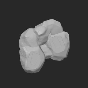 extracted_top_4.png
