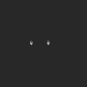extracted_top_2_1.png