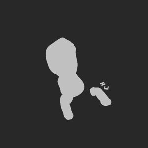extracted_plate_no_light_1_3.png
