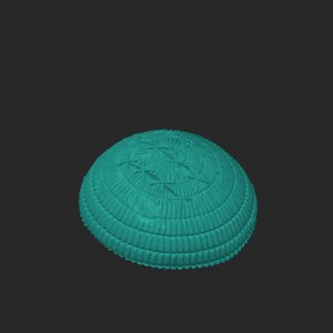 extracted_plate_30.png