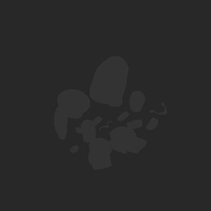 extracted_plate_no_light_2.png