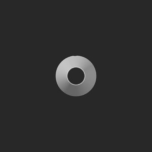 extracted_top_1.png