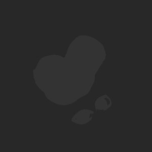 extracted_plate_no_light_1.png