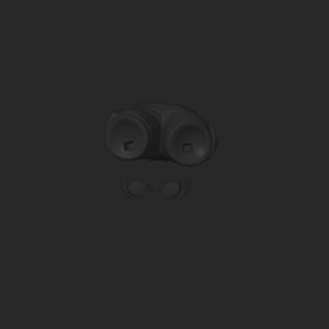 extracted_top_1.png