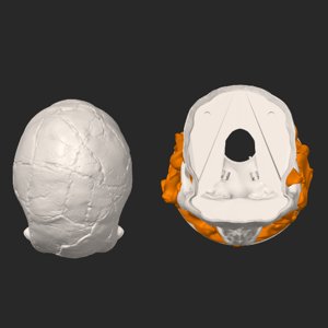extracted_top_2.png