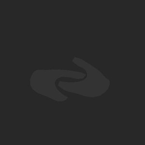 extracted_plate_no_light_2.png