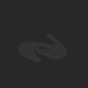 extracted_plate_no_light_3.png