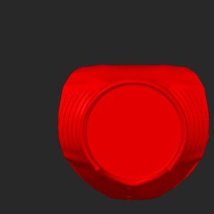 extracted_top_1.png