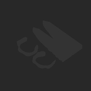extracted_plate_no_light_8.png