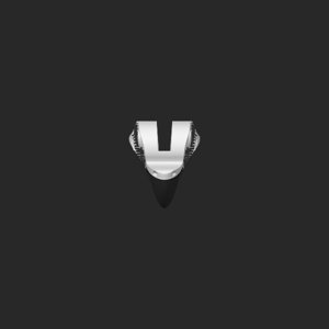 extracted_top_1_9.png