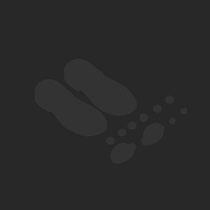 extracted_plate_no_light_5.png